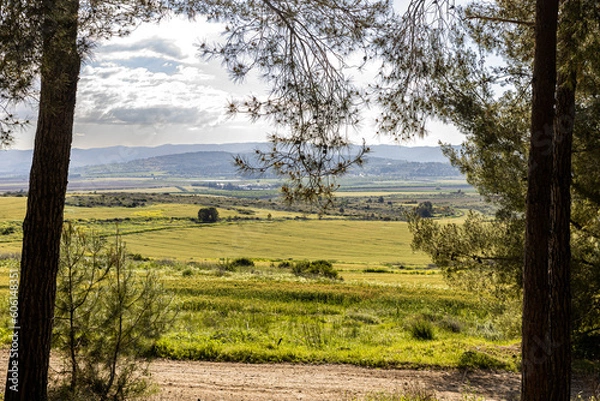 Obraz landscape with trees and hills