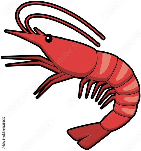 Fototapeta えび　エビ　海老