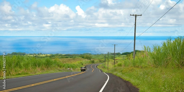 Fototapeta Empty road in Hawaiian countryside with car and ocean in backgro