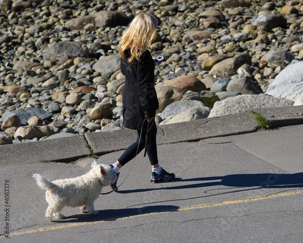 Obraz Walking the Dog