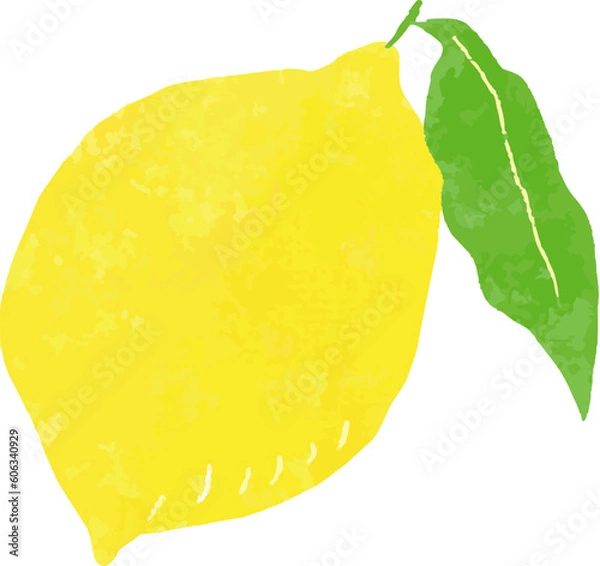 Fototapeta レモン　果実