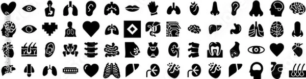 Obraz Set Of Organ Icons Isolated Silhouette Solid Icon With Internal, Medicine, Medical, Heart, Stomach, Health, Organ Infographic Simple Vector Illustration Logo