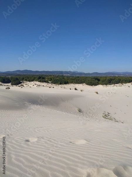 Obraz footprints on the sand