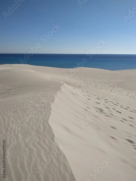Obraz sand dunes on the beach