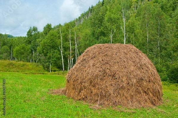 Fototapeta Haystack