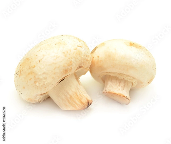 Fototapeta Champignon mushroom