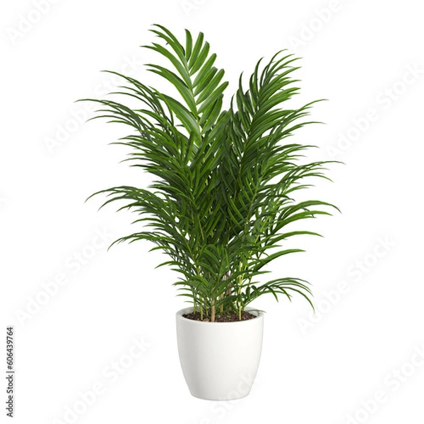 Fototapeta plant in a pot On transparent background PNG file.  Can be used for invitations, greeting, wedding card	