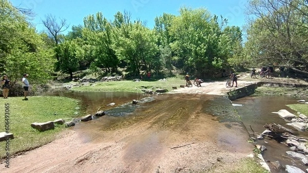 Obraz river in the forest