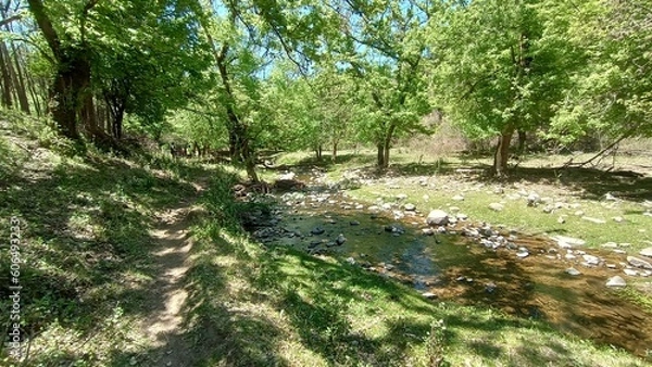 Obraz stream in the forest