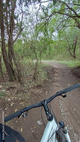 Obraz bicycle in the forest