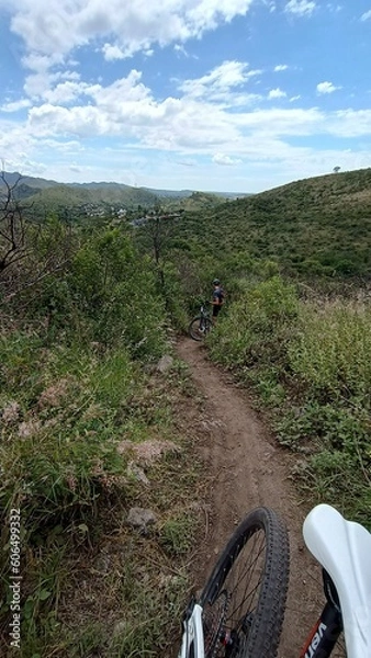 Obraz Sendero