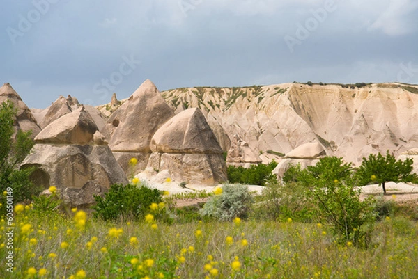 Obraz Cappadocia, Turkey. Love Valley