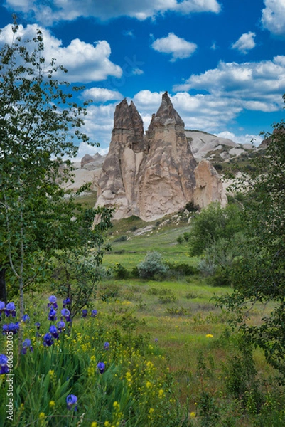 Fototapeta Cappadocia, Turkey