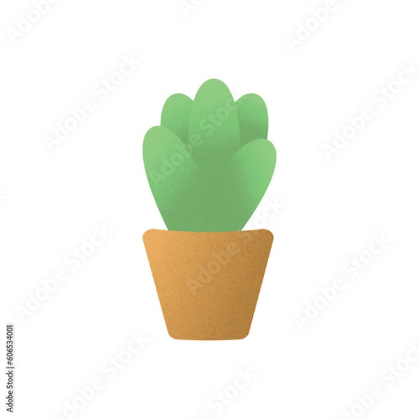 Fototapeta houseplants in pots with grain texture vector illustration, succulent, cactus