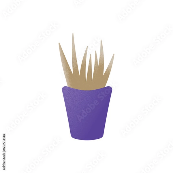 Fototapeta houseplants in pots with grain texture vector illustration, succulent, cactus