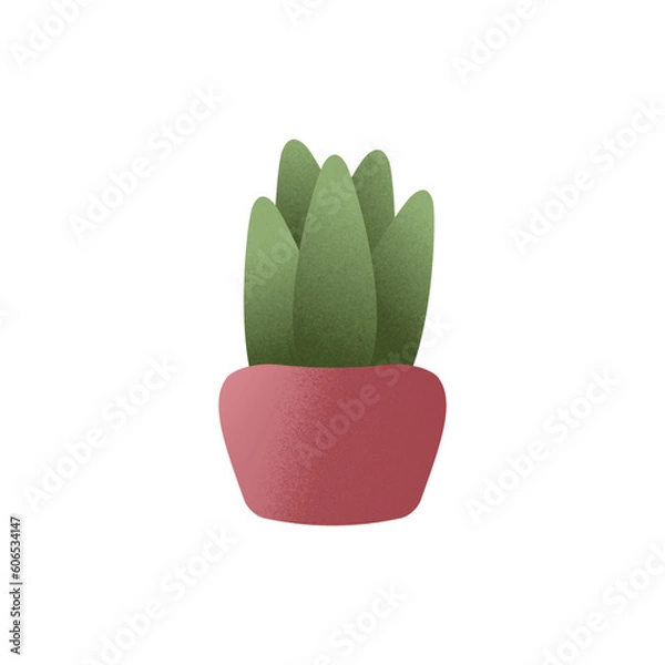 Fototapeta houseplants in pots with grain texture vector illustration, succulent, cactus