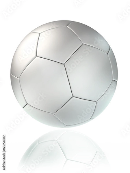 Obraz white soccer ball
