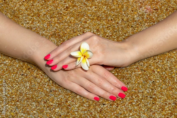 Obraz Manicured hand in the sand.