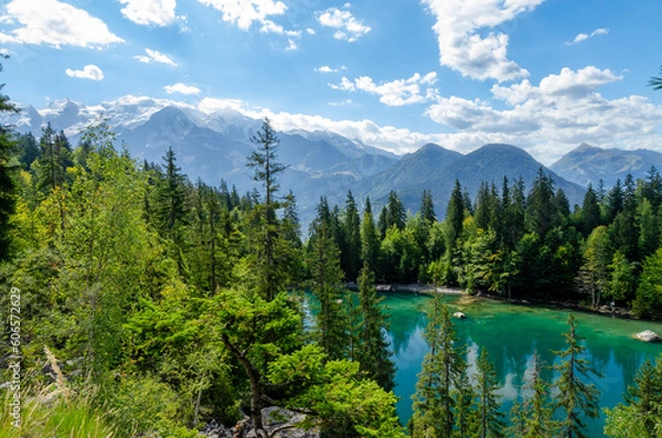 Obraz Beautiful blue and green lake with pines and Mont Blanc mountain