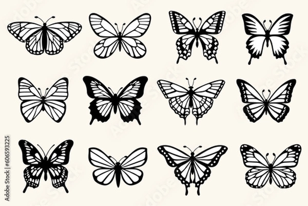 Obraz Set of 12 Hand-drawn Butterflies Vector Illustration