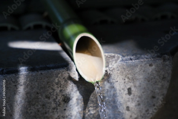 Obraz 諏訪大社の手水舎2