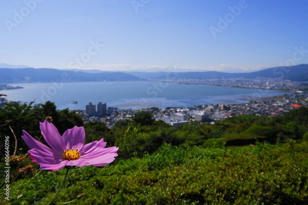 Obraz 諏訪湖と花@立石公園1