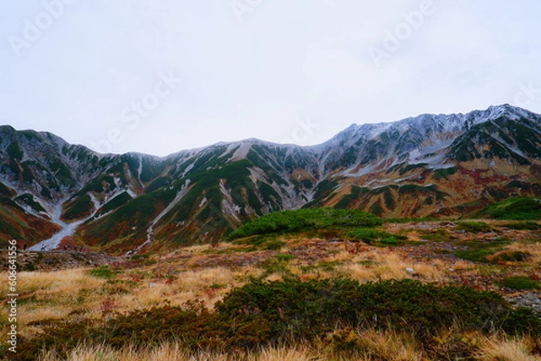 Obraz 室堂みくりが池から見上げる立山連峰