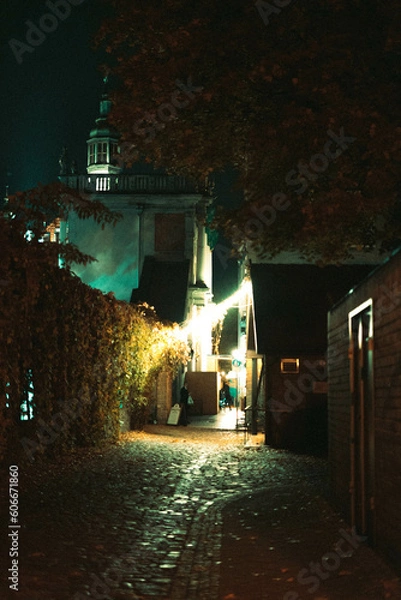 Obraz night in the city