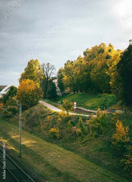 Obraz autumn in the park