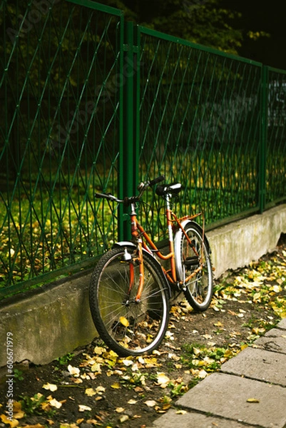 Obraz bicycle in the park