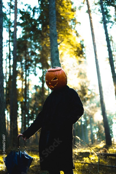 Obraz person in the park