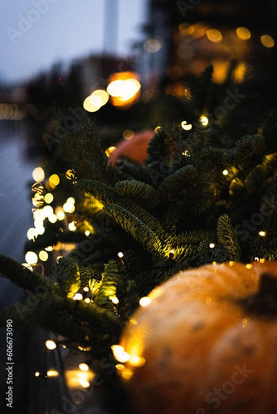 Obraz view of the river