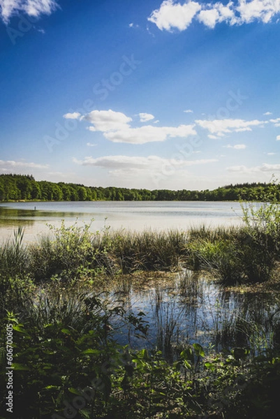 Fototapeta Venlo (Netherlands). The Black Water (Venkoelen) in Venlo. A beautiful Dutch nature reserve called (Het Zwart Water) that is ideal for a beautiful walk in the forest.