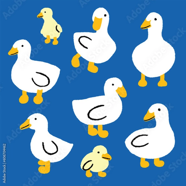 Obraz Seamless hand drawn pattern background of cute white duck ducklings. Isolated vector of ducks cartoon illustration on blue background.