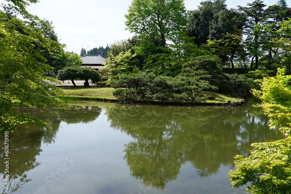 Fototapeta 新緑の美しい奉先堂公園・五十公野御茶屋庭園（新潟県新発田市）
