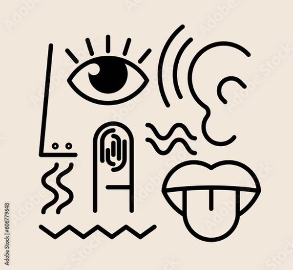 Fototapeta Five human senses icon composition. Mouth to taste, nose to smell and ear to hearing and hand to touch and eye for vision. Outlined human sense organ symbols or icons on white. Vector illustration