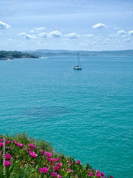 Fototapeta landscape with flowers overlooking the ocean