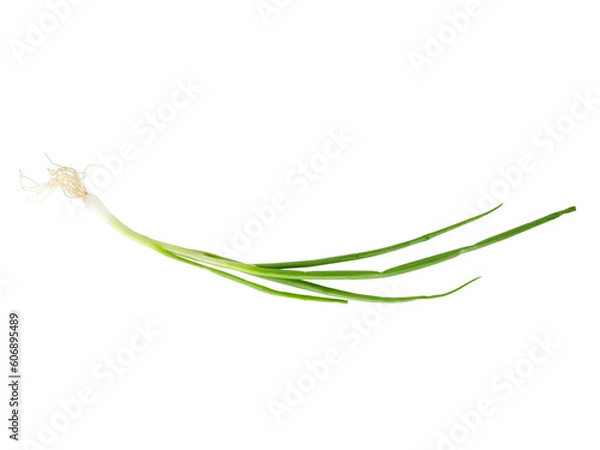 Fototapeta onion isolated on white background