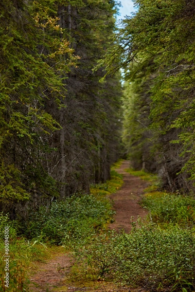 Obraz Eastern Alaska