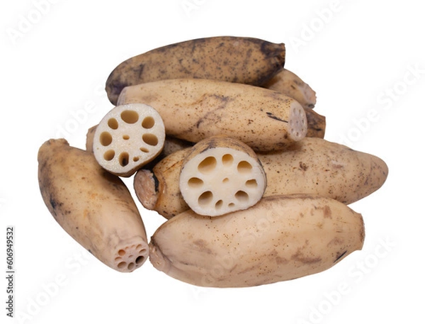 Fototapeta Lotus roots isolated on a png background.