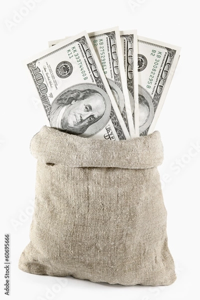 Obraz money bag
