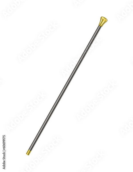 Fototapeta Elegant walking stick