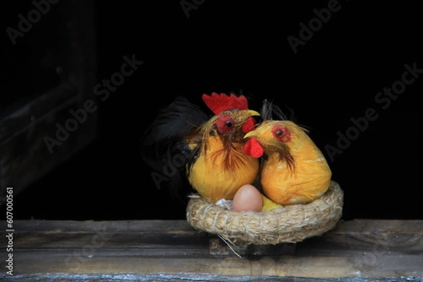 Obraz chicken and eggs