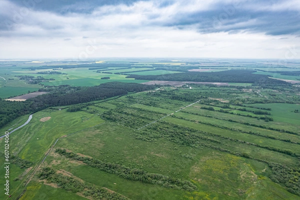 Fototapeta Top view of plowed and sown fields