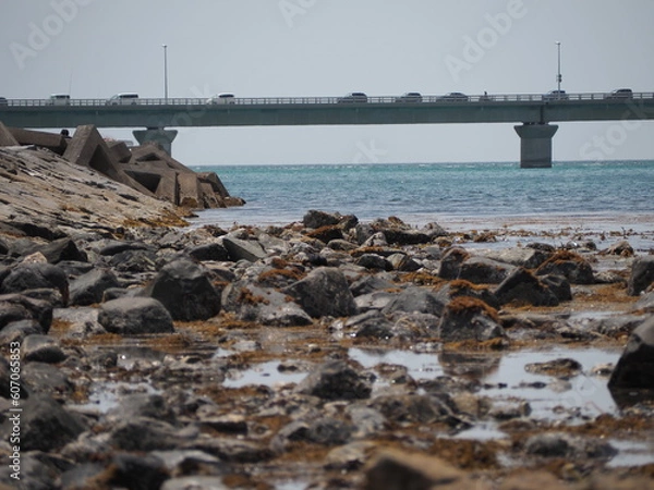 Fototapeta 橋と海