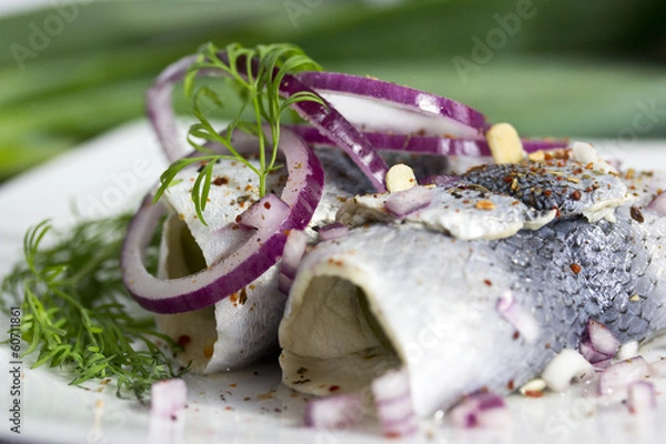 Obraz Rollmops