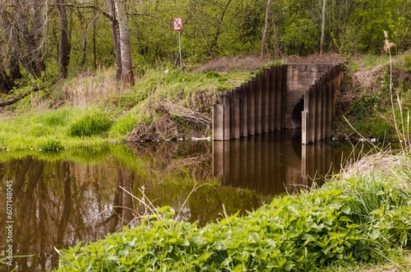 Obraz Riverbank with Grass: Close-Up View