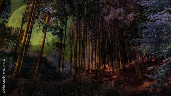 Fototapeta Fairytale mystic atmosphere in the woods with moonlight