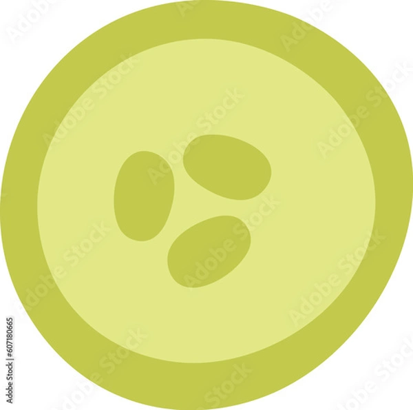 Obraz Cucumber Vegetable Slice