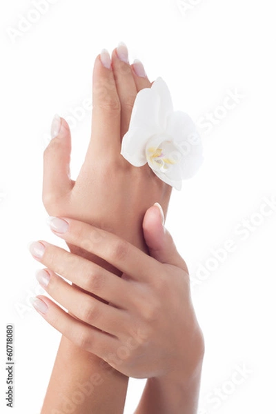 Obraz Beautiful woman's hands